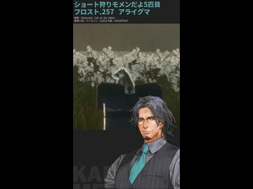 ショート狩りモメンだよ5匹目：フロスト.257 アライグマ【theHunter:CotWフリモメン実況】