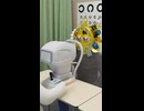 大彗星と眼科