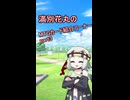 MTGカード紹介part3「貿易風ライダー」