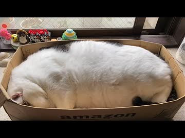 おくたのかたまり