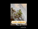 今日も出動！