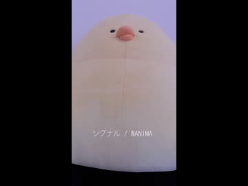 シグナル / WANIMA (acapella cover)