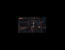 豎屏-PC破解版《忍者龍劍傳II：黑》上忍·超難-第一期 (8)