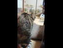 パン職人の仕事は深夜まで続く…
