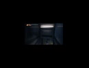 豎屏-PC破解版《忍者龍劍傳II：黑》上忍·超難-第一期 (14)