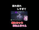 回れ回れしすぎて壊れちゃうめたんちゃん