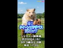 【競馬予想】ＧⅠ #QEⅡ世C AIみかん予想担当はきのこ.栽培マン.Cocoんcoの推奨馬3頭で好配当的中□目指します《#競馬楽部□LOVE》Vol.225 ※近日Vipera登場決定！