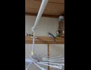 放鳥したらまずここ！