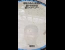 迫真養鯉部　黒仔拾いの裏技