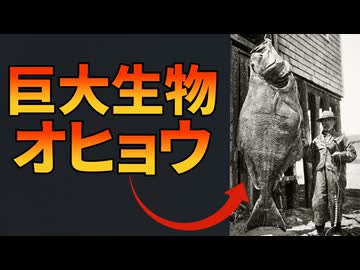 【完全版】巨大生物オヒョウが怖すぎる！！【解説動画】