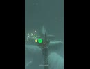 【ティアキン】マドロナ山のコログ ゼルダの伝説ティアーズオブザキングダム
