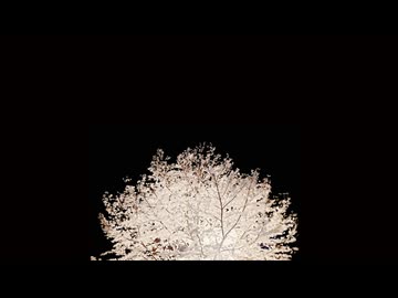 『for now』作品紹介