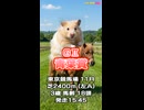 馬番発表後2番目位に早い【競馬予想】ＧⅡ #青葉賞□AIみかん 予想担当はきのこ.栽培マン.の推奨馬3頭で好配当的中□目指します《#競馬楽部 LOVE》Vol.226通算Vol.428