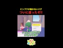 ついにピンプクの連れ歩きが出来るようになったぞ！？【ぽこあポケモン】