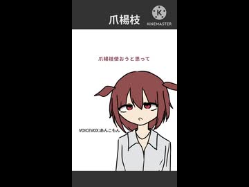 爪楊枝