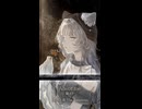【歌ってみた】「About me / 蝶々P」covered by 猫 The Sappiness