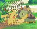 ポケットモンスター ダイヤモンド・パール　第5話　ナエトル、ゲットだぜ！