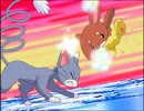 ポケットモンスター ダイヤモンド・パール　第12話　コンテストバトル！ライバル対決！！
