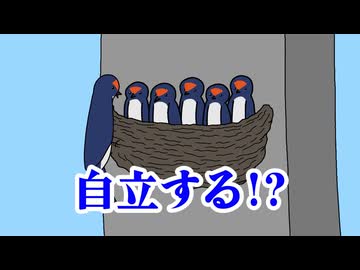 ツバメ2