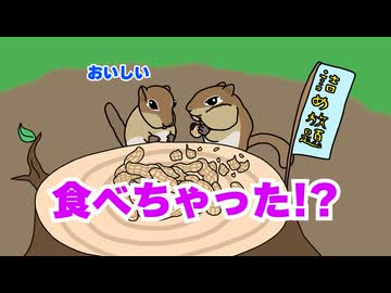 リス