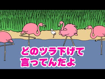 フラミンゴ
