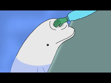 シロイルカ