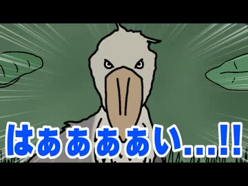 ハシビロコウ