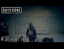 荒れ果てた世界を生き延びろ。【DAYS GONE Remastered実況part149(2週目#31)】