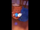 贅沢な夜