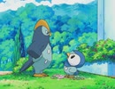 ポケットモンスター ダイヤモンド・パール　第26話　ポケモンコンテスト！ソノオ大会！！