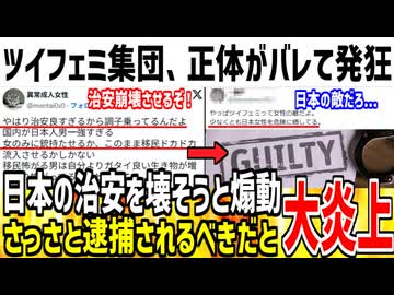 【悲報】ツイフェミ、日本の治安崩壊させようとしてた事がバレてしまう...