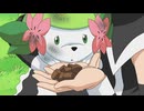 ポケットモンスター ダイヤモンド・パール　第169話　飛べシェイミ！空の彼方へ！！
