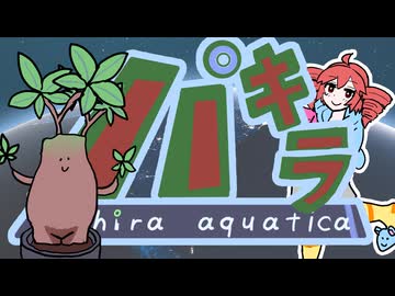 パキラ～Pachira aquatica～/重音テトSV