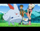 ポケットモンスター ダイヤモンド・パール　第172話　トゲキッス！華麗なるバトル！！