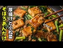 【体にやさしい】厚揚げと小松菜のそぼろあんかけ