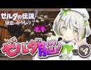 ┆ ゼルダの伝説 知恵のかりもの ┆ 初ダンジョン！いけっ！ゼルダ脳！ ┆04 〖 初見実況 〗