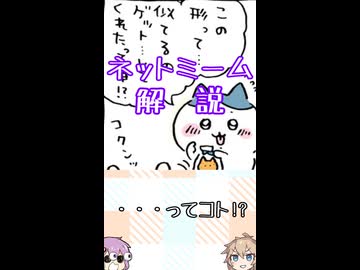 ゆかつむネットミーム解説【・・・ってコト】