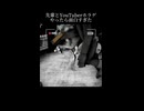 先輩とYouTuberホラゲやったら爆笑した