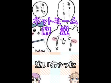 ゆかつむネットミーム解説【泣いちゃった】