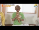 ティアふぁいエツォン