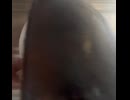 鶏肉　砂肝　ブラック　ペッパー　ニンニク　炒め
