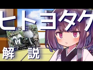 東北きりたんの毒キノコ解説『ヒトヨタケとホテイシメジ』