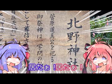 意外な再会