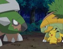 ポケットモンスター ダイヤモンド・パール　第100話　ナエトル、ハヤシガメ…そしてドダイトス！