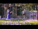 ❀春裏々-踊ってみた【超会議2026】【tomoe】