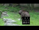 AIコメを調査してみるテスト動画
