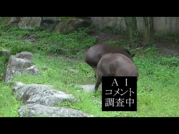 AIコメを調査してみるテスト動画