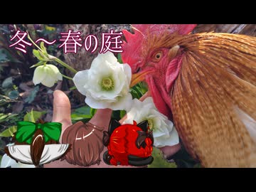 2026始動！[美燐空間39 Season4-1]