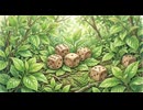 【サイコロ】《XAIシステム》【重賞予想】第二百三十一投（2026.04.25）