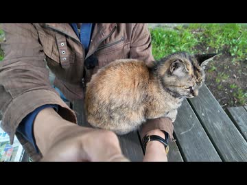 あの雑誌で対談しました！／5月の講演日程